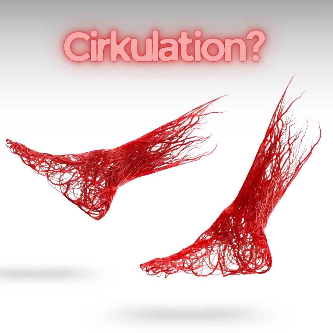 Illustration av blodkärl i fötterna med texten “Cirkulation?”. Bilden symboliserar hur Nordic Rehab Duo Performance – 5 zoners kompressionsstrumpor stimulerar blodflödet, motverkar svullnad och främjar snabbare återhämtning efter träning eller långvarigt stående.